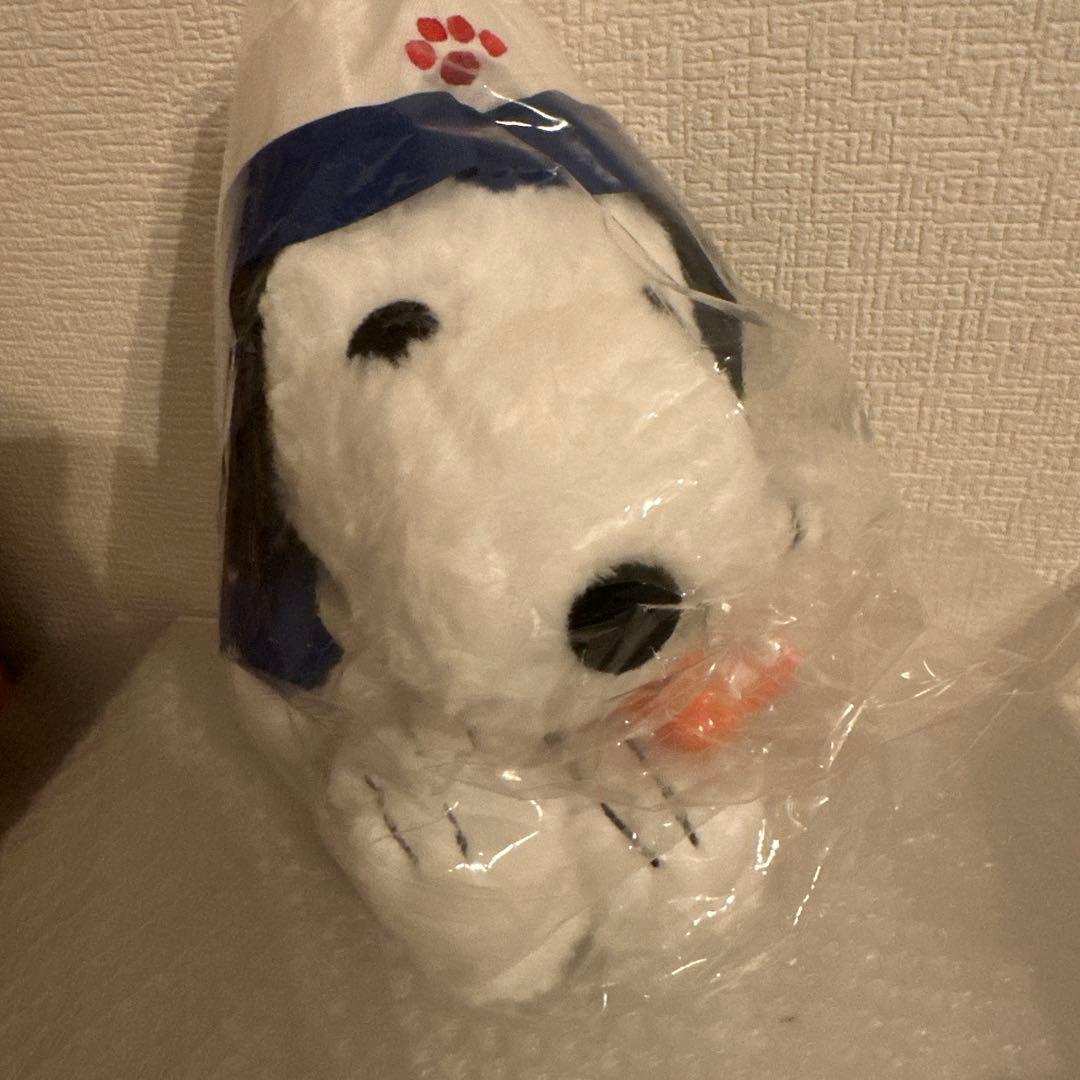 【万博会場限定】EXPO2025 PEANUTS スヌーピー ぬいぐるみ