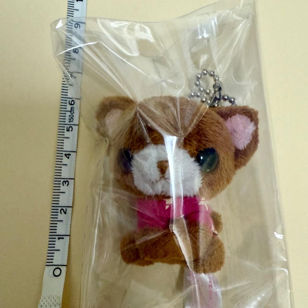 サンエックス　ちわわんこ　ぬいぐるみ　ブラウン