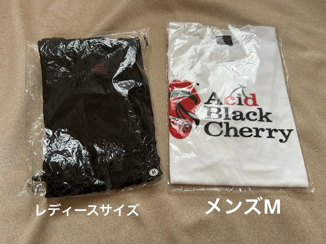 Acid Black Cherry グッズまとめ売り