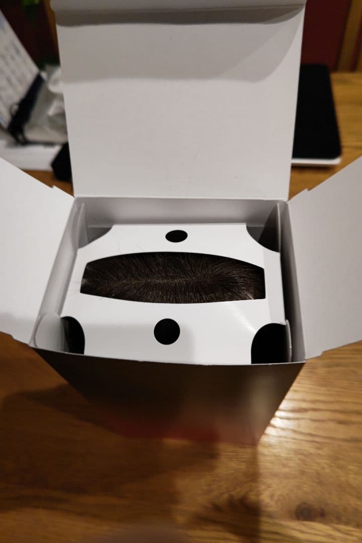 ペスカ☆ビーティーサロン発☆白髪特化型ポイントウイッグ☆チャチャ☆ショート美品