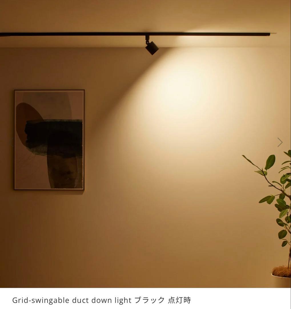 アートワークスタジオGrid-swingable duct down light