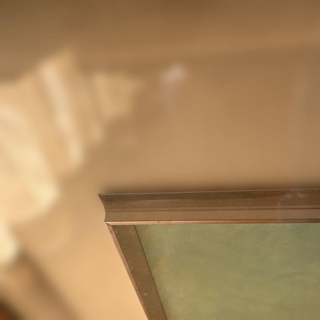 絵画　牡丹　　⚠️素人画