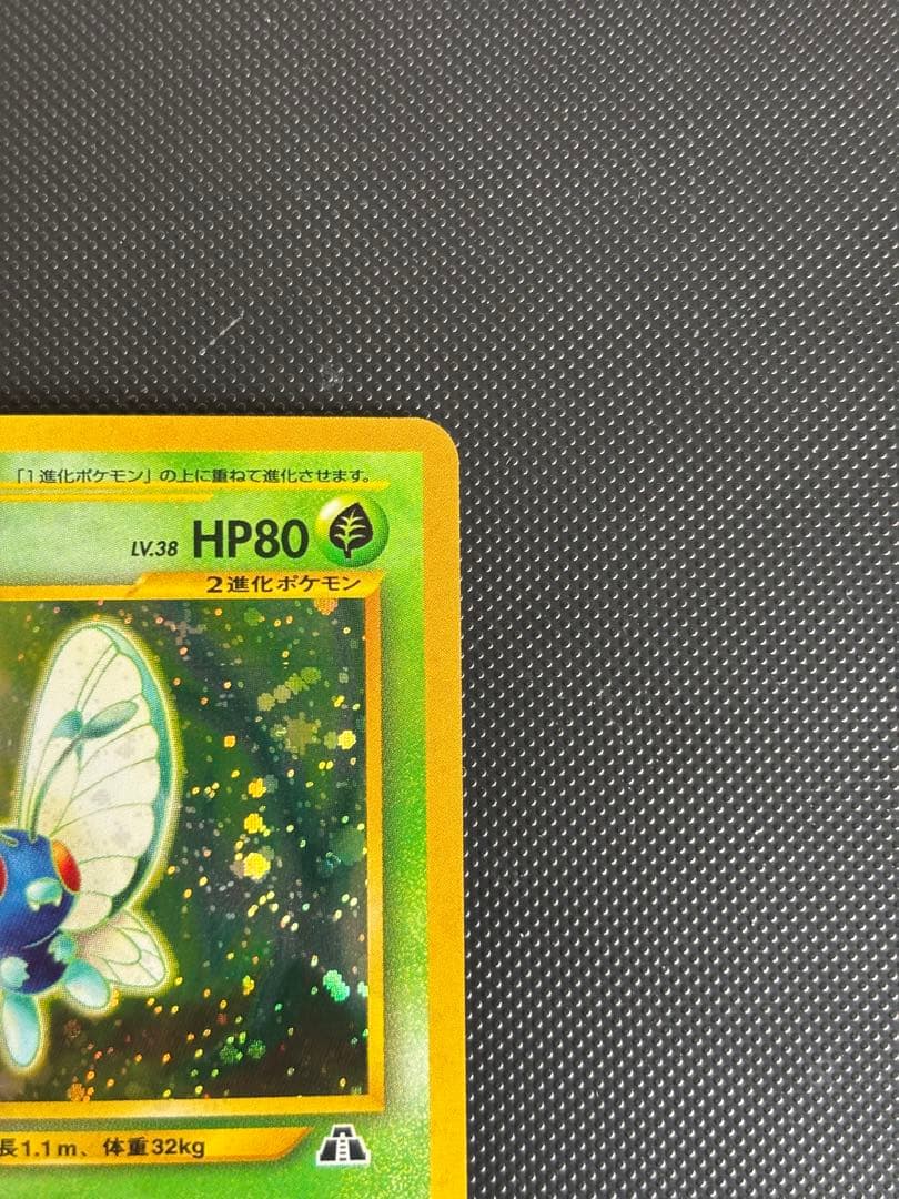 旧裏　極上美品　バタフリー ★ 拡張パック第2弾 遺跡をこえて　センタリング良