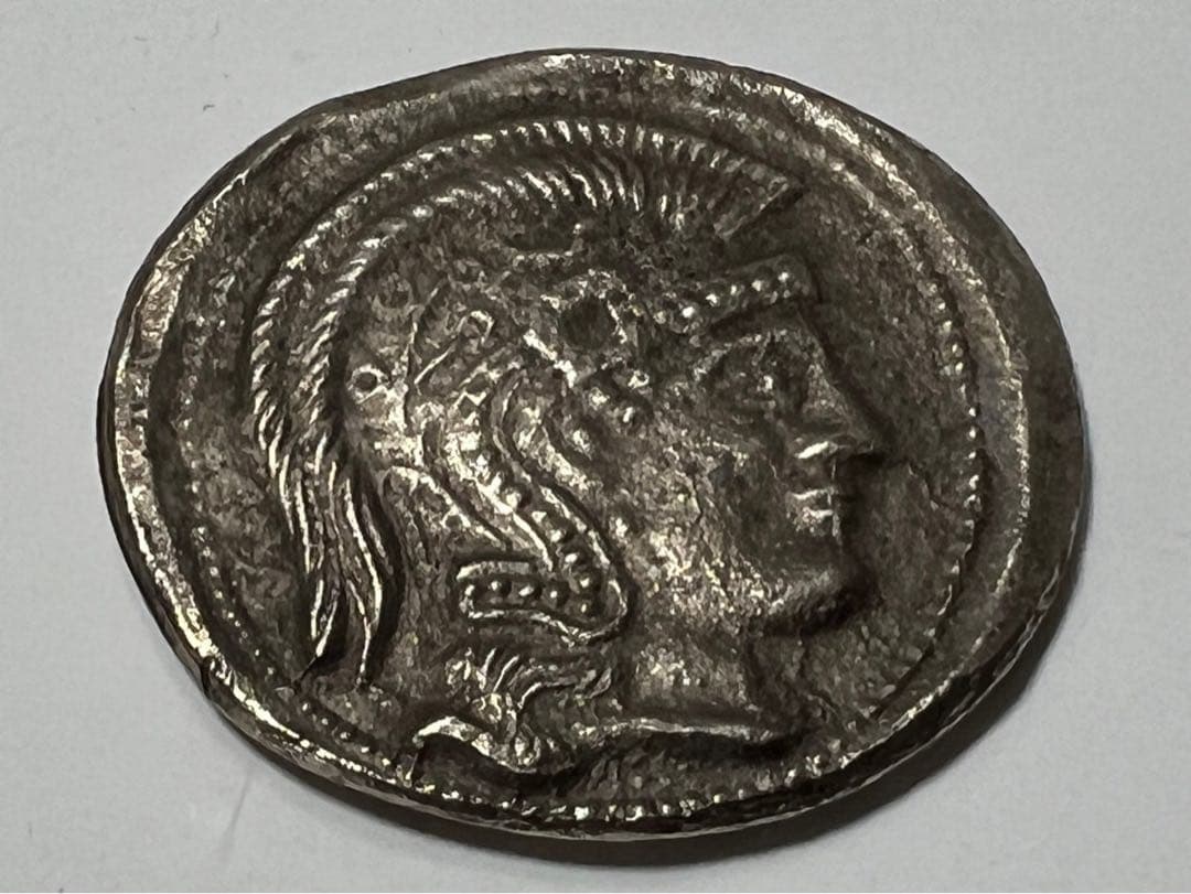 ギリシャ　フクロウ