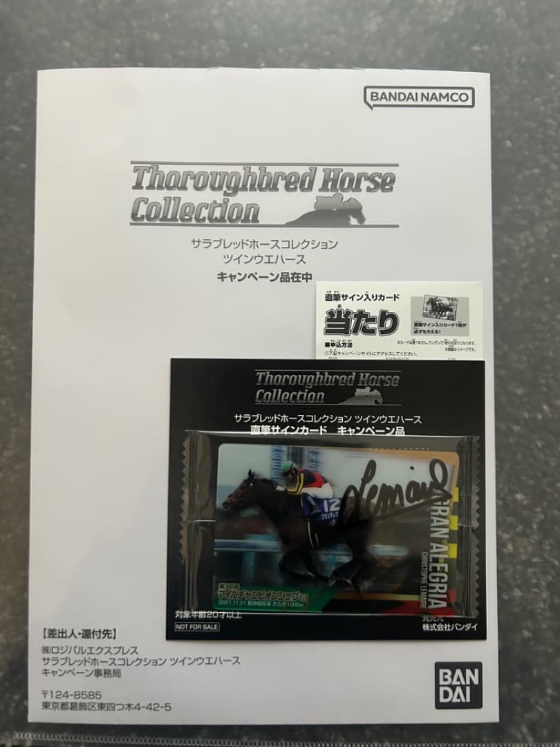 シマリスさん専用　サラブレッドホースコレクション