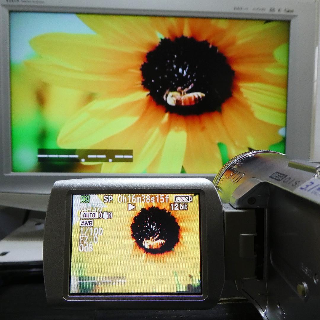 動作良好 パナソニックNV-GS250 MiniDVビデオ DVD化に最適 !