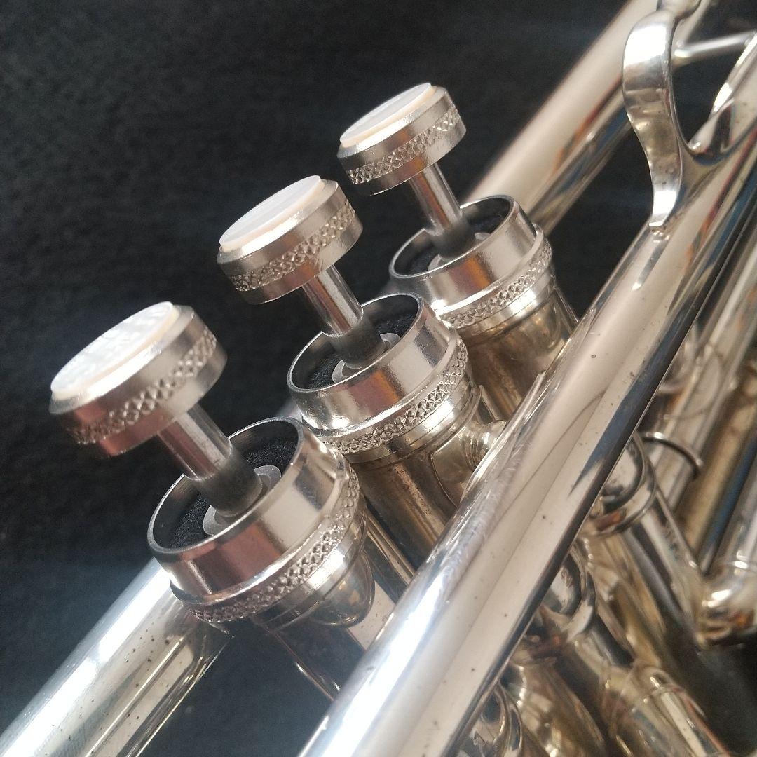 マルカートソフィアシリーズ。ヘビートリムキット付属