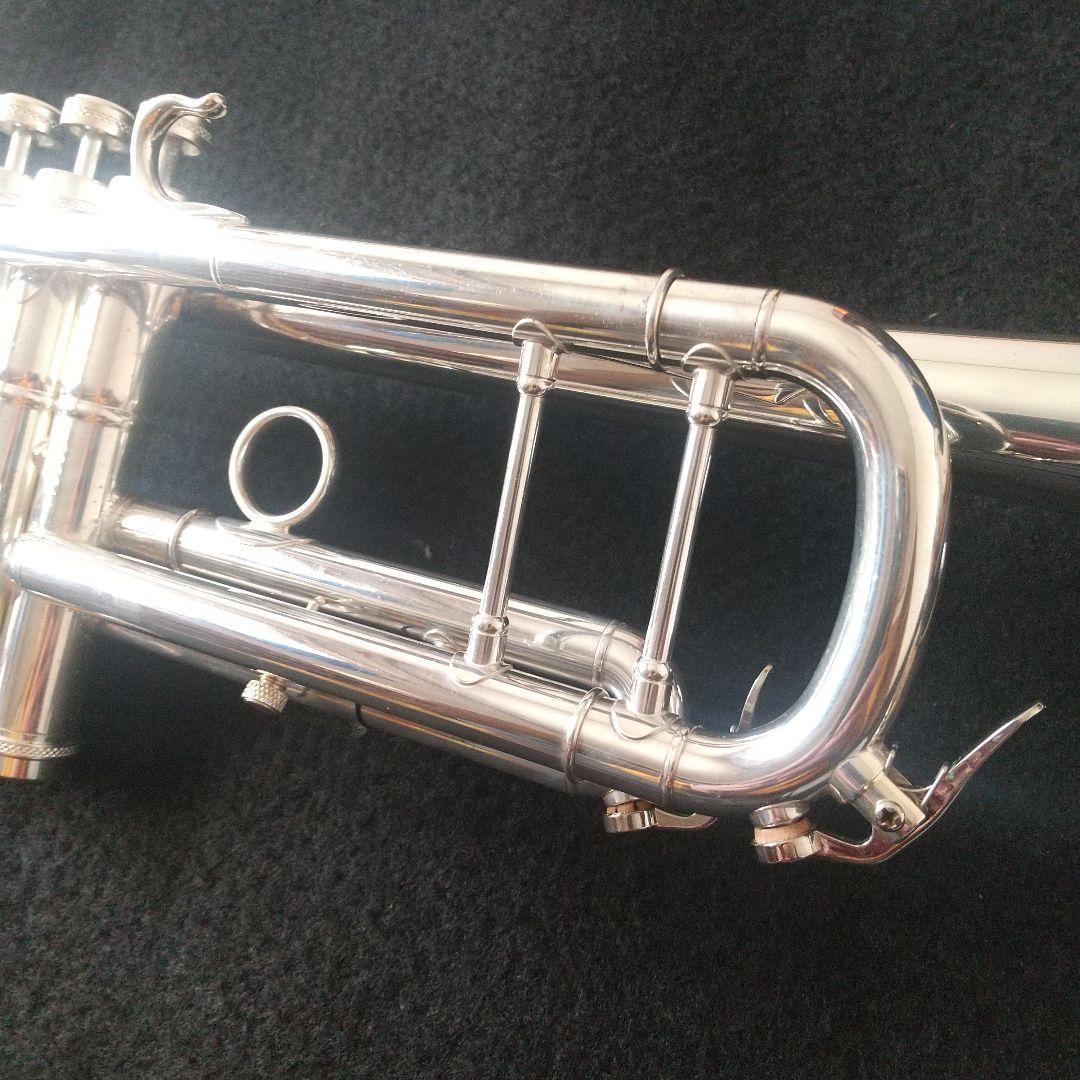 マルカートソフィアシリーズ。ヘビートリムキット付属