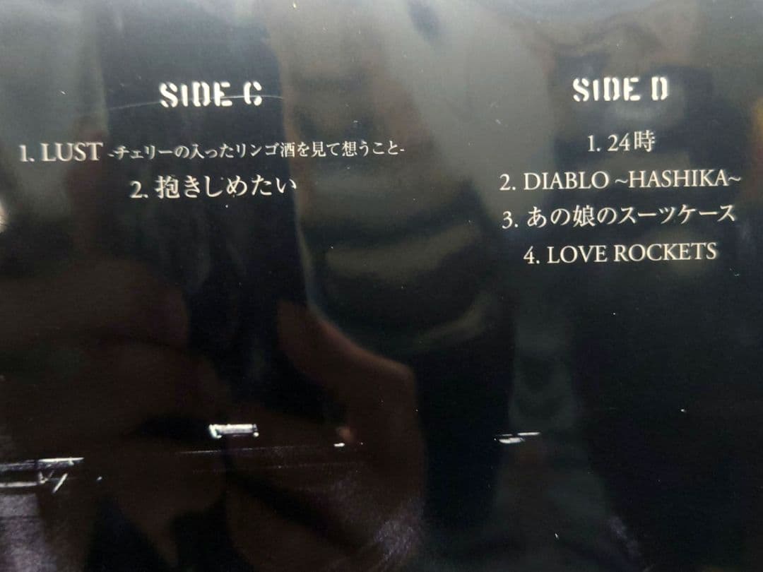 The Birthday / GO WEST, YOUNGMAN・重量盤3LP