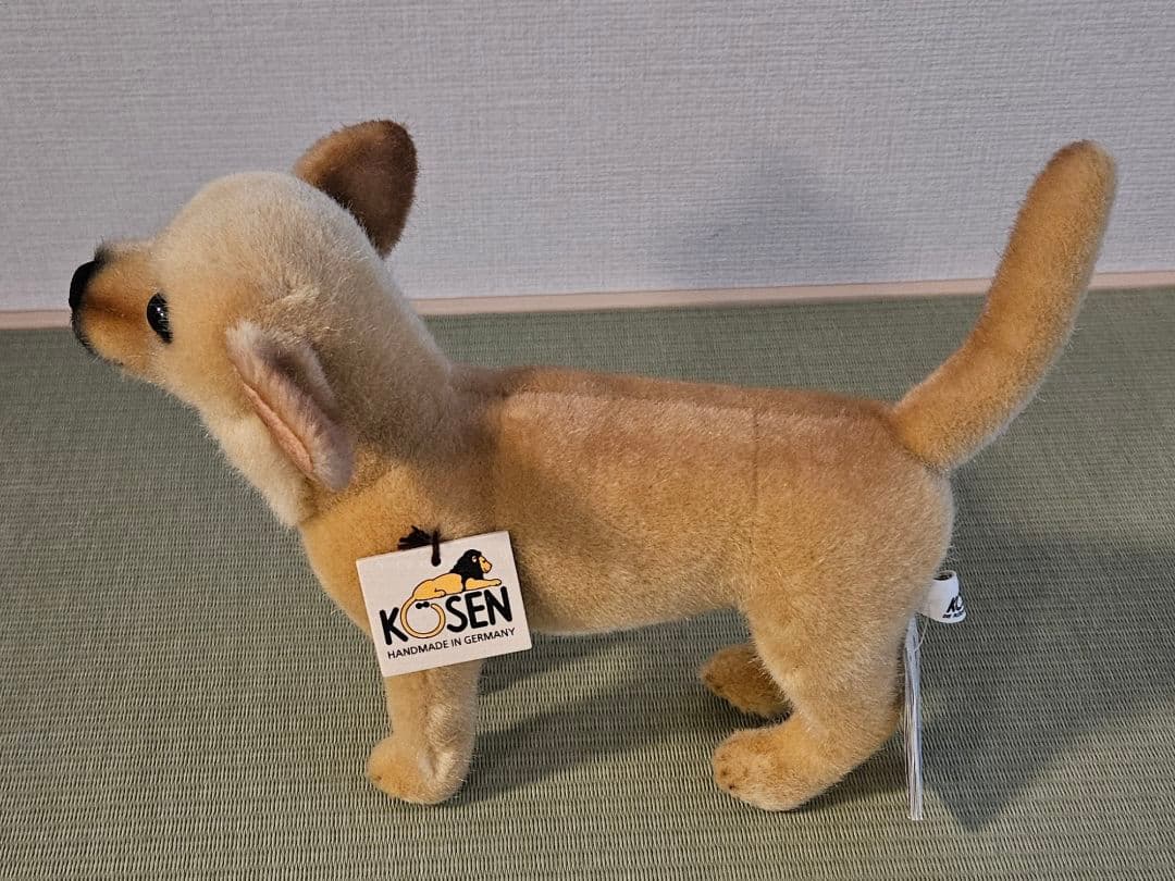 ケーセン チワワ