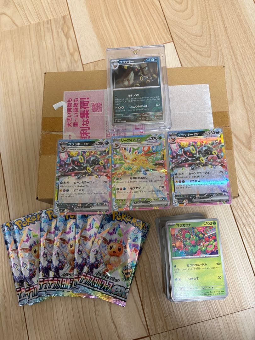 ポケセン産 テラスタルフェス box ブラッキーマスターボール
