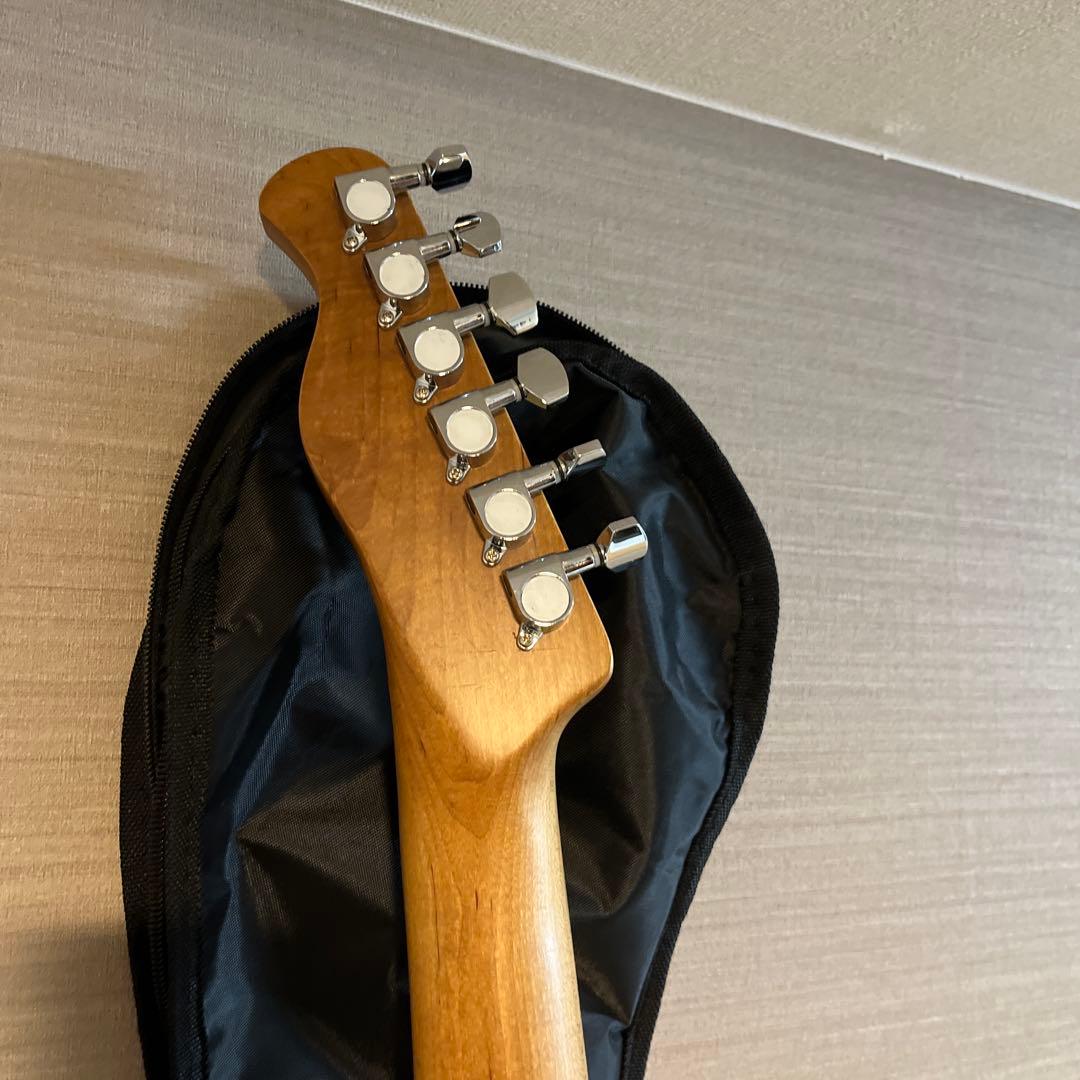 Bacchus BTE-1-RSM/M エレキギター テレキャス