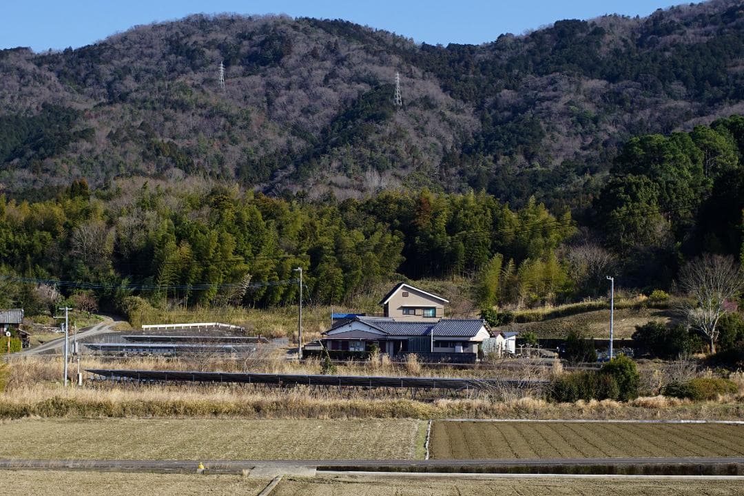 ニコン Nikkor-S Auto 50m f1.4