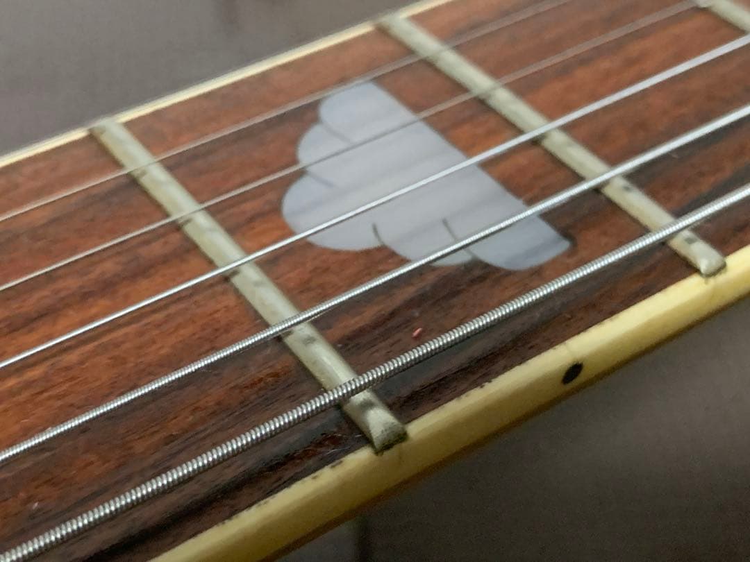 Aria Pro Ⅱ Mockingbird モッキンバード hide