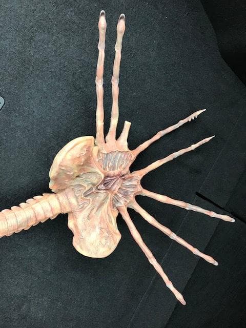 レア！クイーンフェイスハガー　1/1 組立塗装済み完成品　破損有り