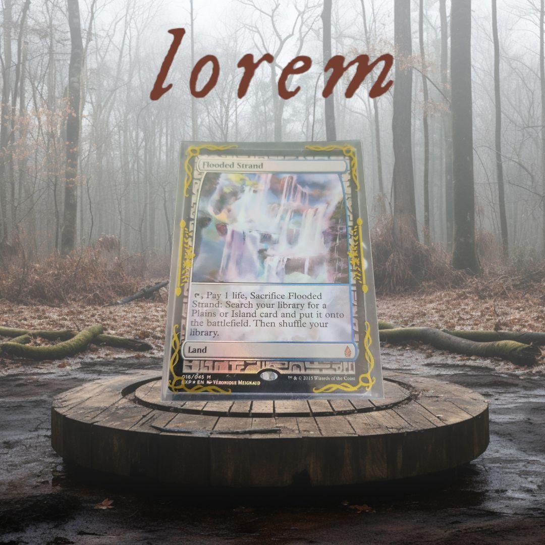 【Foil】《溢れかえる岸辺/Flooded Strand》[EXP] 土地R