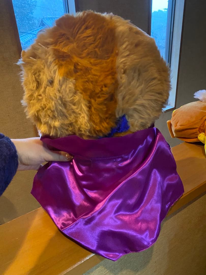 ユニベアシティ 美女と野獣 ぬいぐるみ6体＆コスチュームセット ディズニー