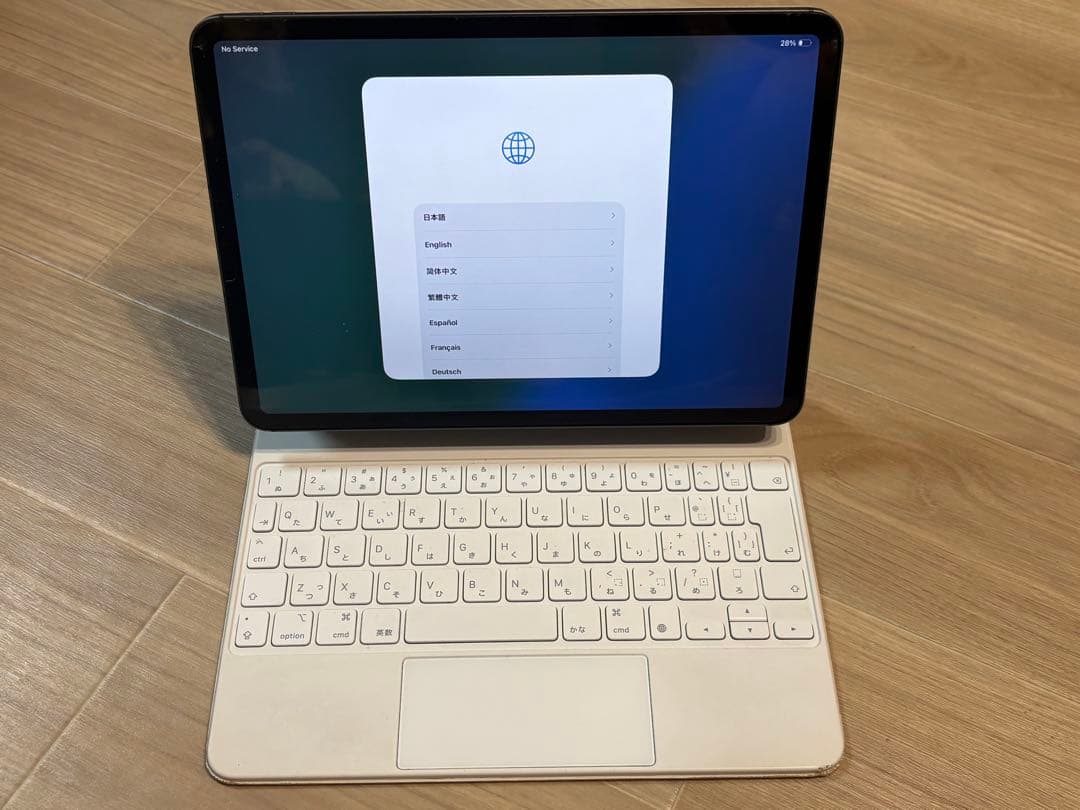 iPad Pro 11インチ (第 3 世代) 1TB Cellular