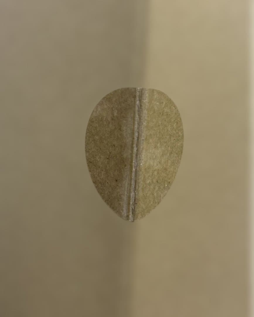 Dyson(ダイソン) ドライヤー Dyson Supersonicヘアドライヤ