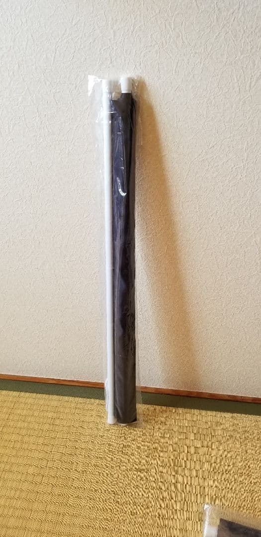 宝塚 真風 涼帆　等身大タペストリー　宙組　宝塚　2021年