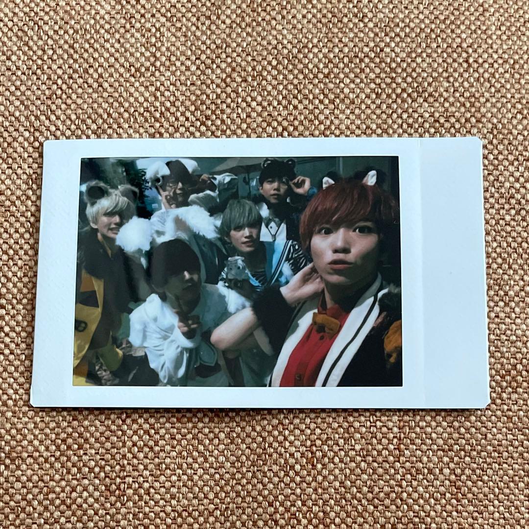 パンダドラゴン 集合 チェキ