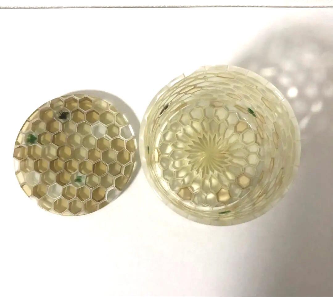 江波冨士子さん BUNBUN 蓋物