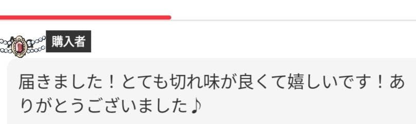 スパッと快適に切れる理美容師サロン用セニングシザーすきバサミ☀トリマーペットも◎