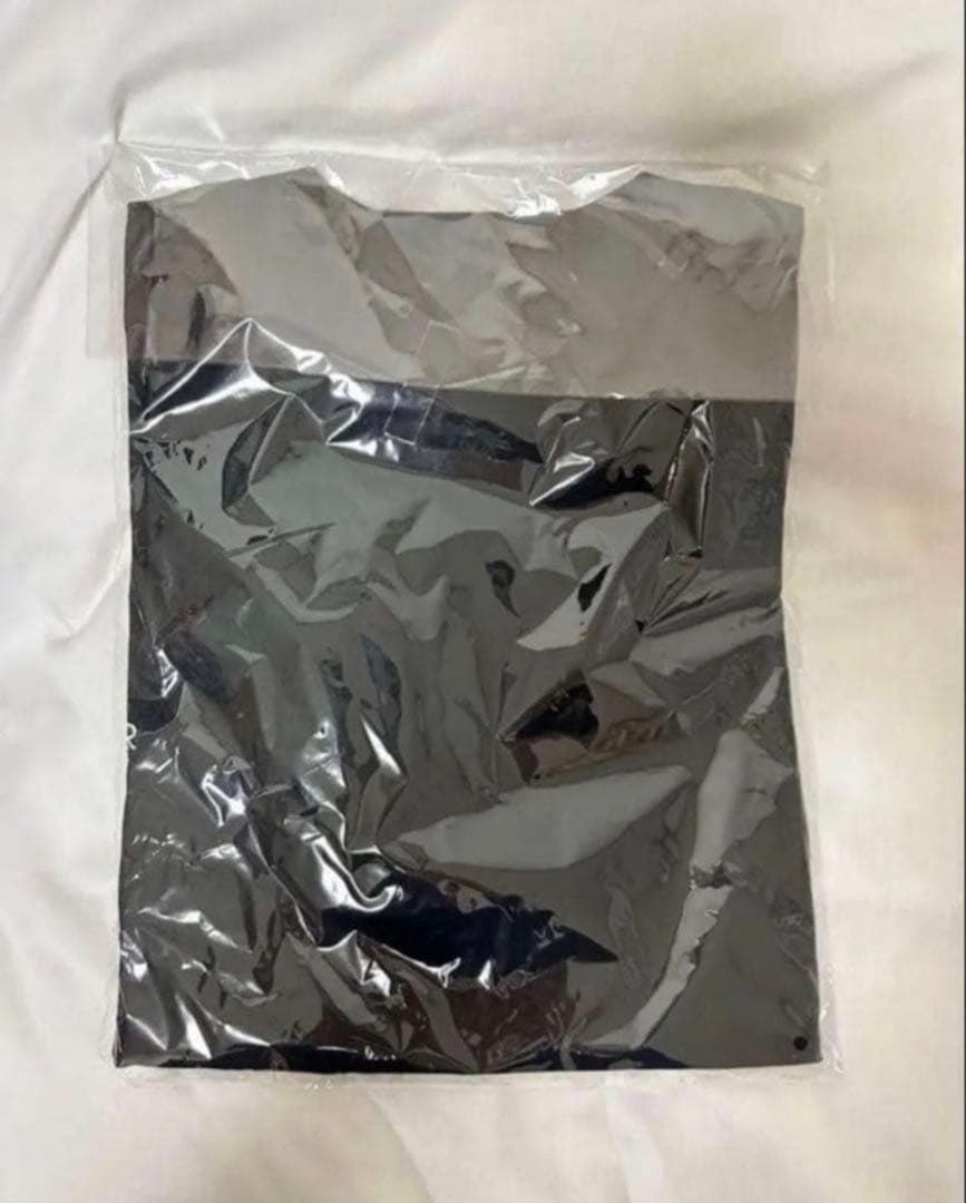 Hi-standard ロングTシャツ pizza of death ハイスタ