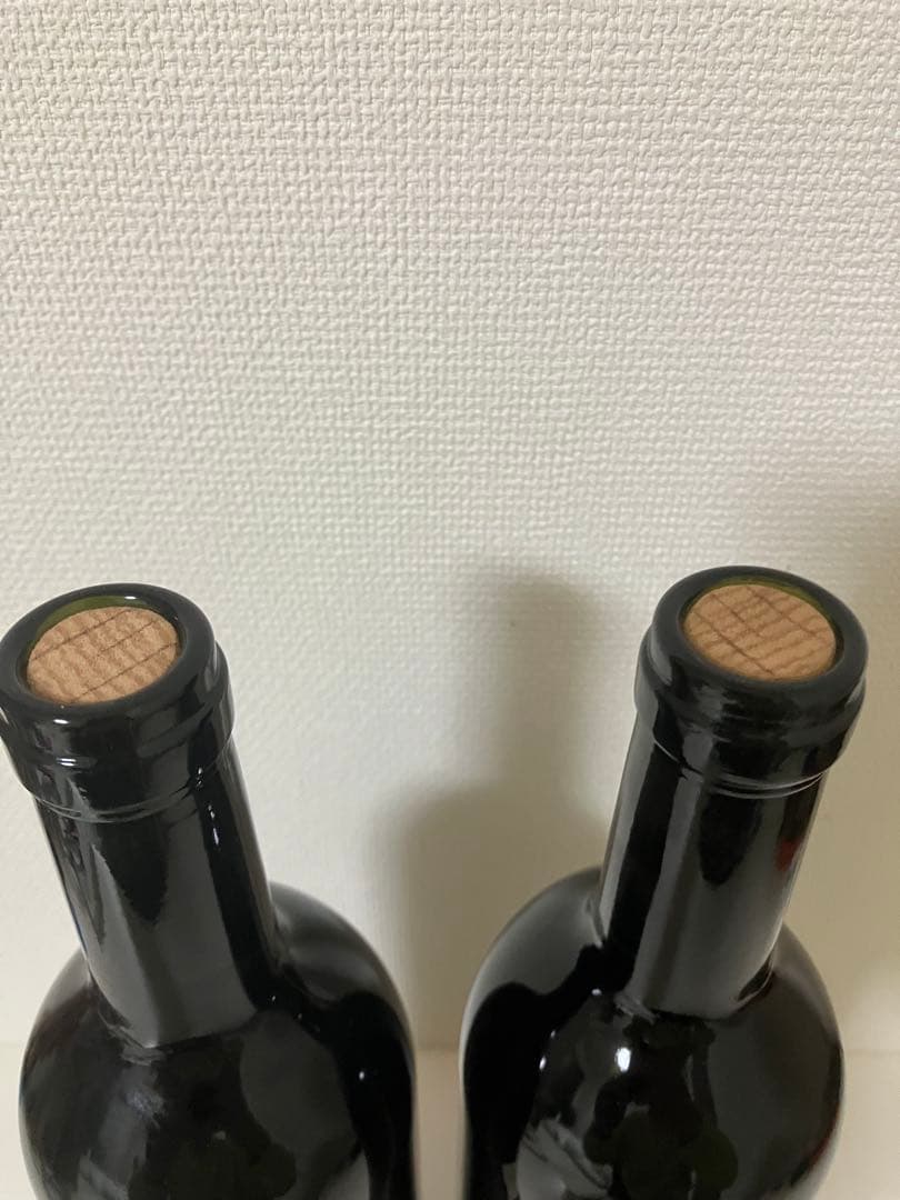 BEAUPAYSAGEボーペイサージュ 2019.2020 赤ワイン 2本セット