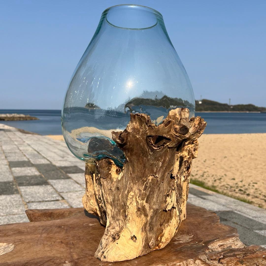 デッカい流木ガラスオブジェWC 花瓶 金魚鉢 水槽 苔リウム メダカ容器 超大型