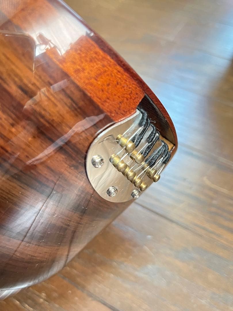 カラーチェマンドリン　No.24 2019年製