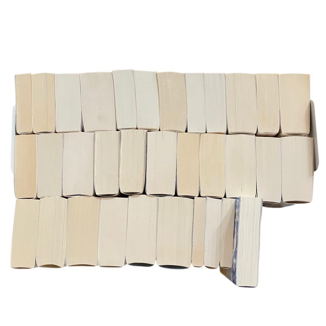 境界線上のホライゾン 全29巻+ガールズトーク3巻　全巻セット　他　計33冊