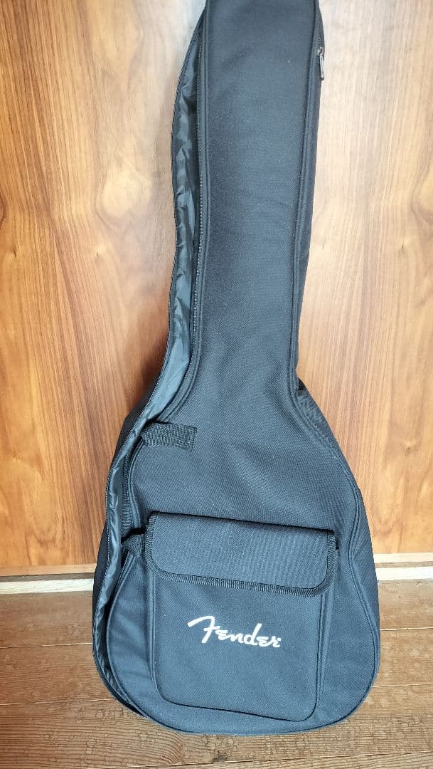 ギター Fender Newporter Player SB WN