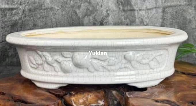 多肉植物鉢 盆栽鉢 植木鉢 小品盆栽鉢 大品盆栽鉢