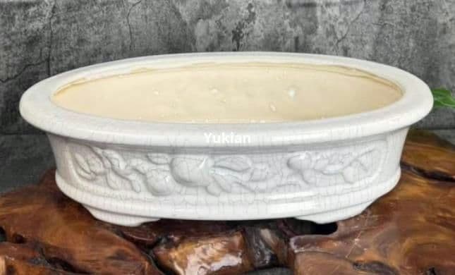 多肉植物鉢 盆栽鉢 植木鉢 小品盆栽鉢 大品盆栽鉢