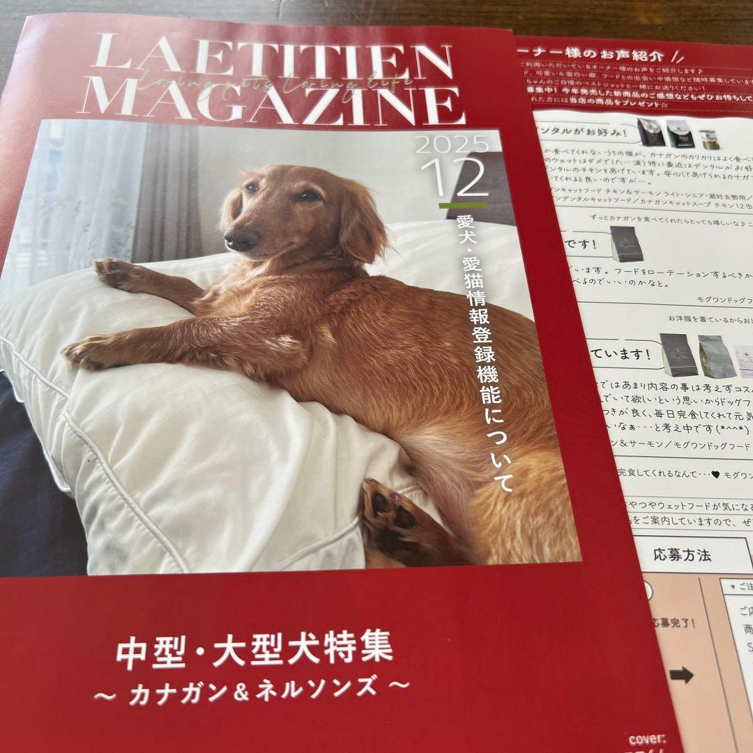 ネルソンズドッグフード　中型犬、大型犬パピーお勧め