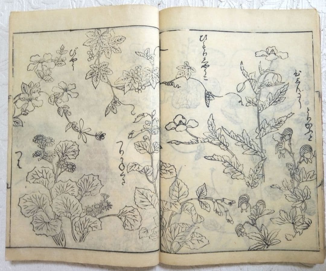 草木鳥獣諸職繪手本(黒摺り版画本)紀朝臣敏作画、伊舟屋善兵衛板、文政元年出版