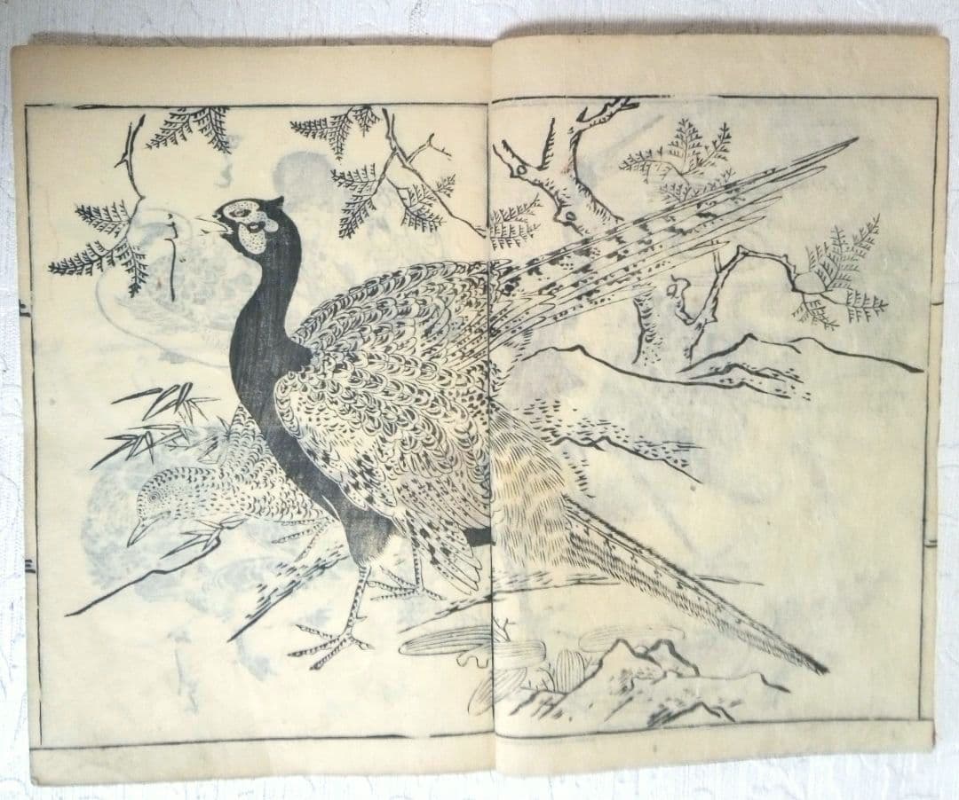 草木鳥獣諸職繪手本(黒摺り版画本)紀朝臣敏作画、伊舟屋善兵衛板、文政元年出版