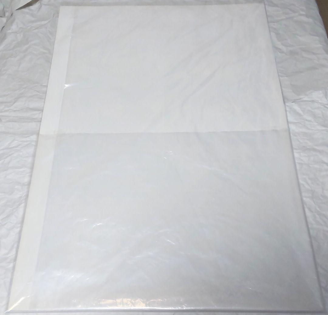 【非売品】ポスターらんま1/2（B）