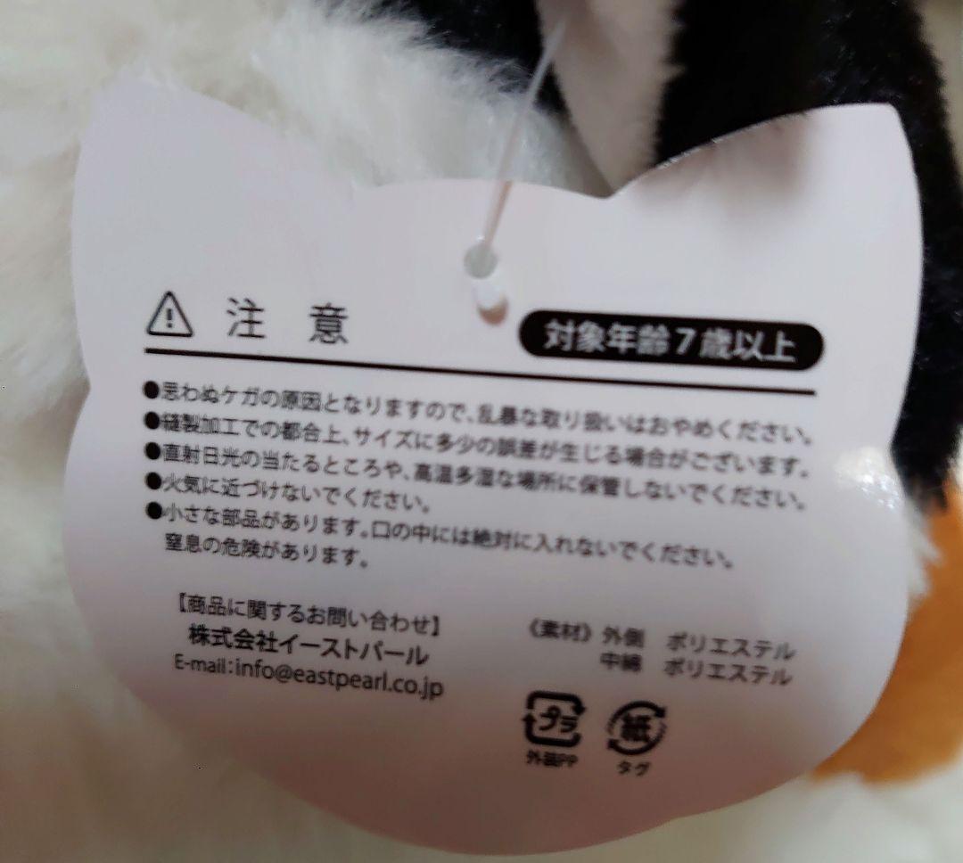 本日！にゃんたま　バス Style 　　ぬいぐるみ