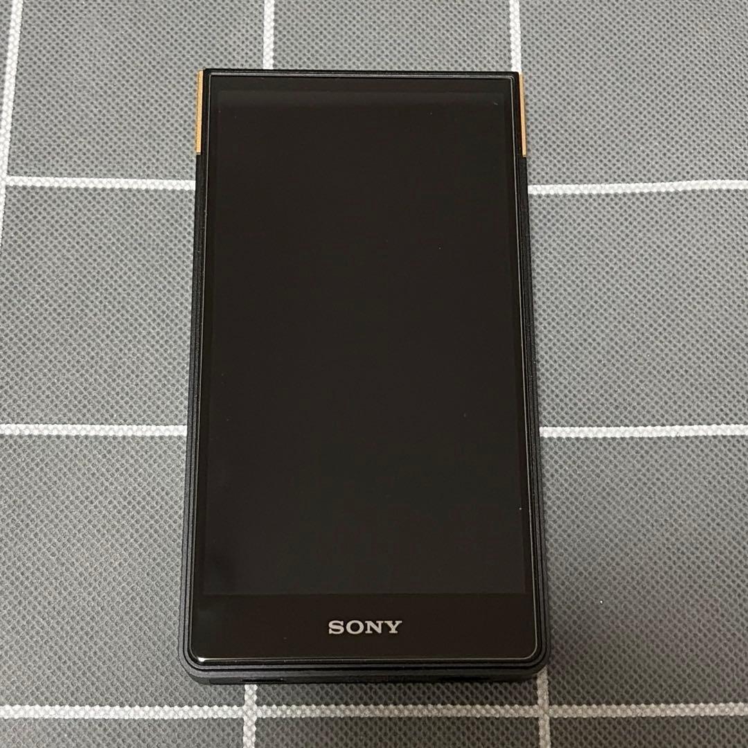 SONY NW-ZX707 純正ケース&ガラスフィルムセット