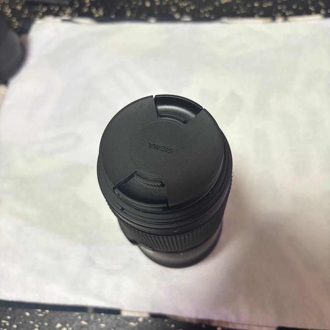 シグマ 100-400mm F5-6.3 DG DN OS フジフイルムX