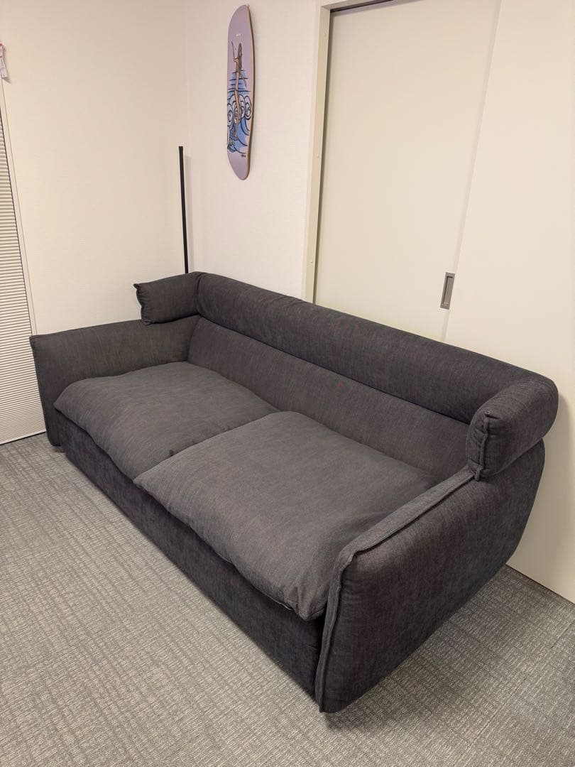 ニトリ　ソフティーナKD