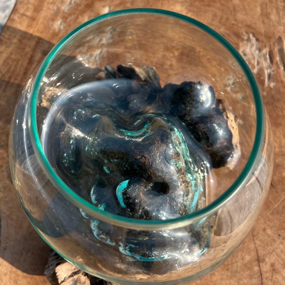 流木ガラス オブジェ中P 花瓶 金魚鉢 ガーデニング テラリウム 観賞魚 容器