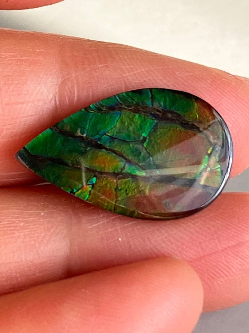 アンモライトルース　化石　原石　幅2.2cm 美品