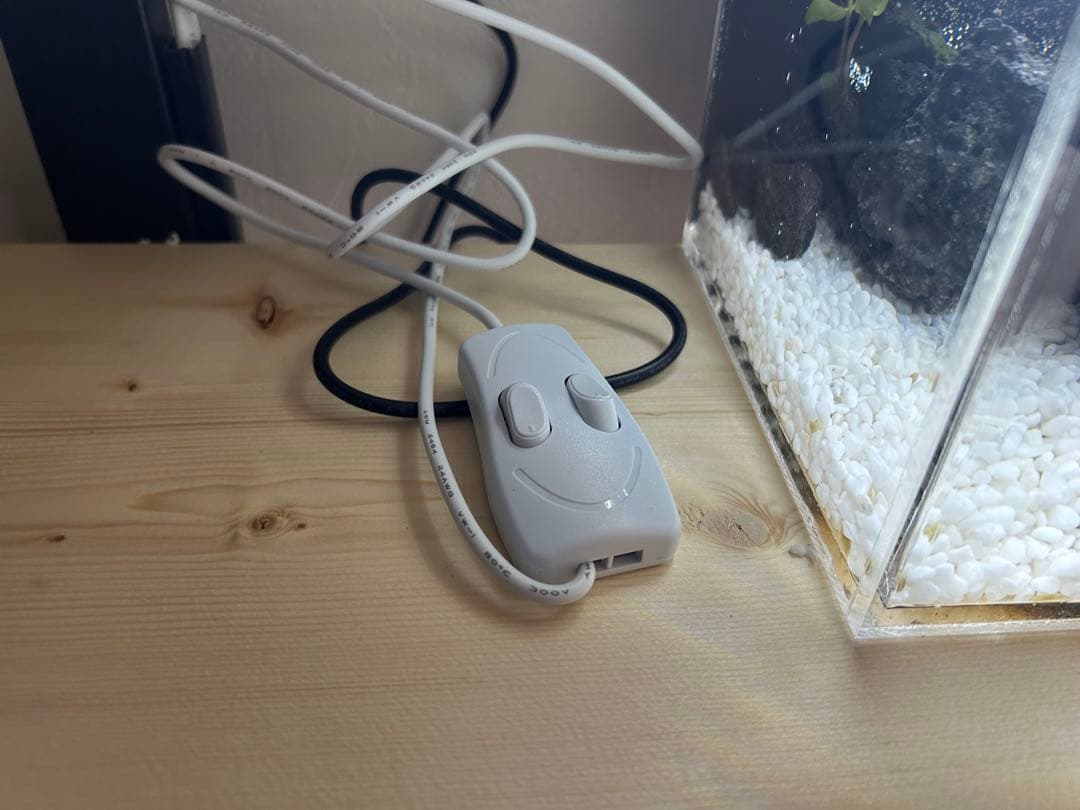 【格安】アクリル製ベタポニックス水槽