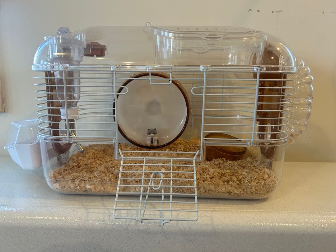 小動物用透明ケージ 中型 付属品付き、餌、トイレの砂、おがくず付き