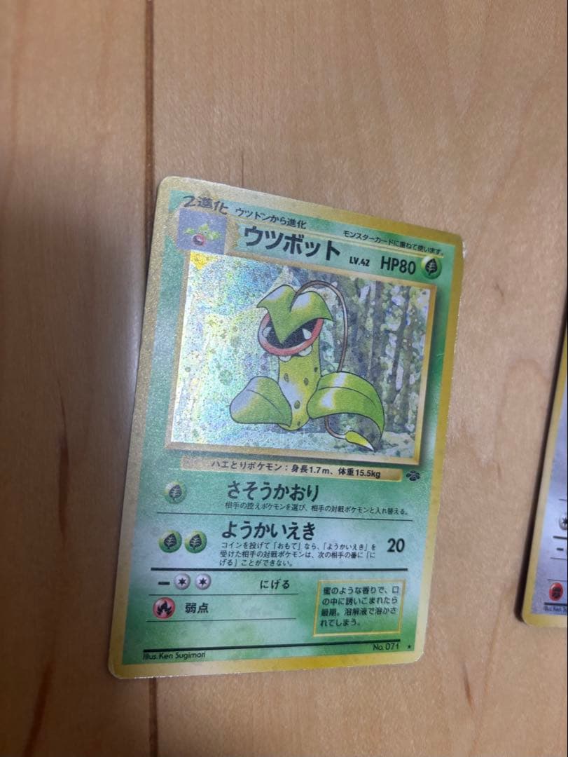 ポケモンカード旧裏まとめ売り94枚キラ ウツボット・カイリュー・わるいオーダイル