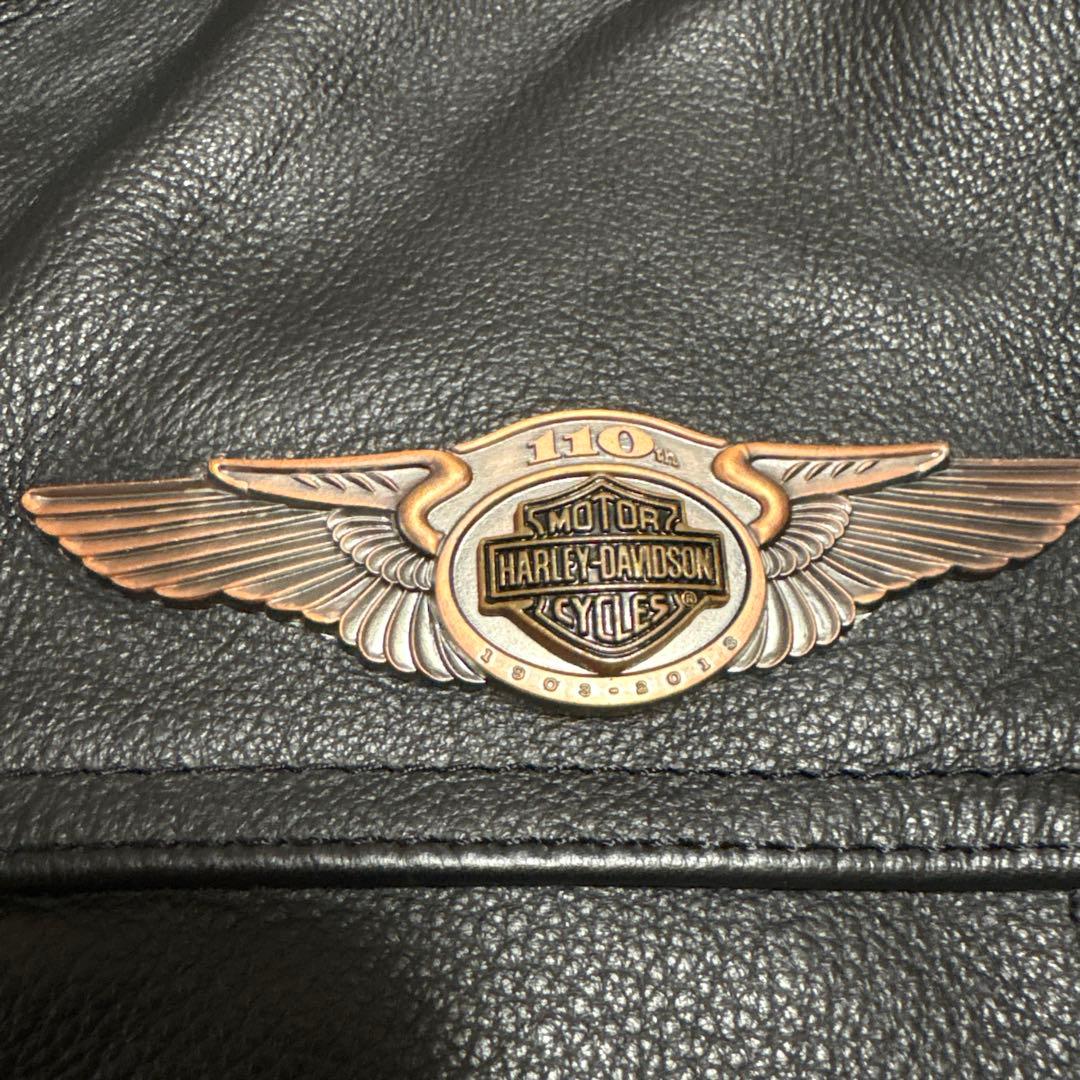 Sサイズ　110周年　レザー　シングルライダースジャケット