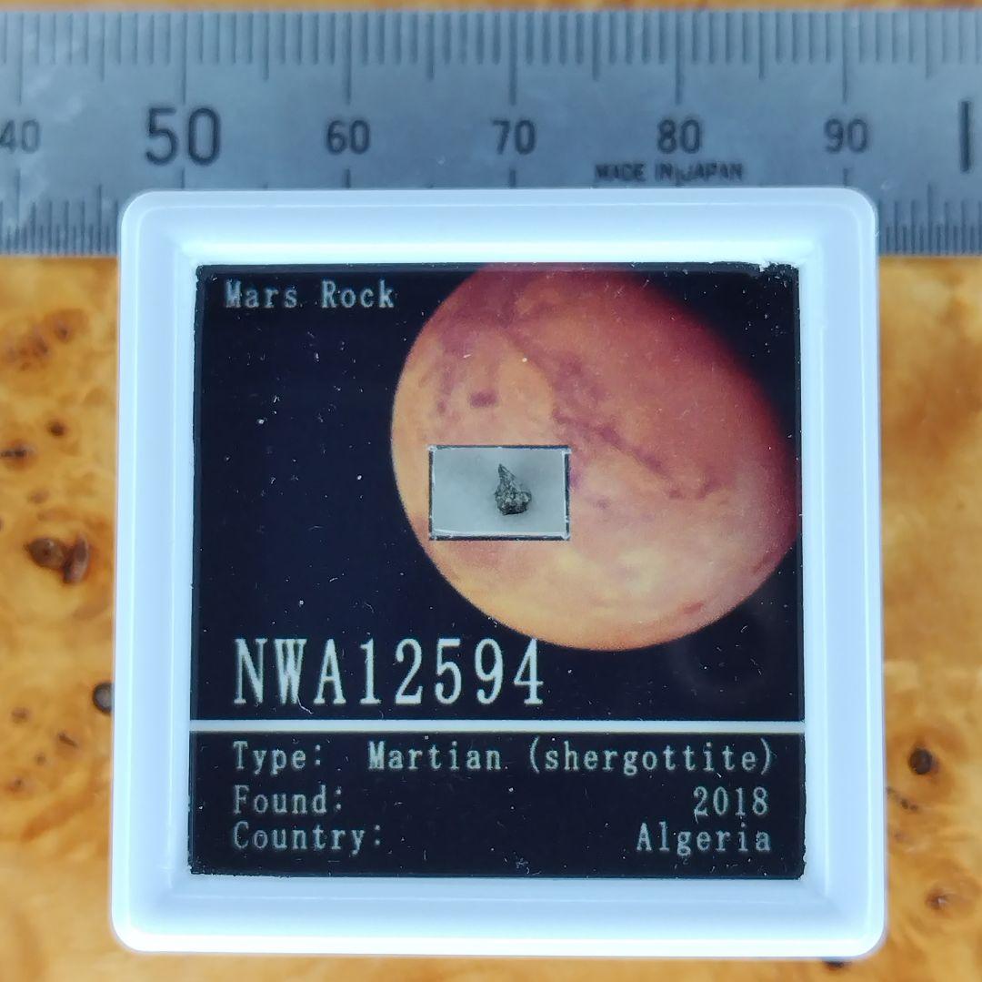 ⭐火星の石！シャーッゴッタイト　 NWA 12594　隕石標本
